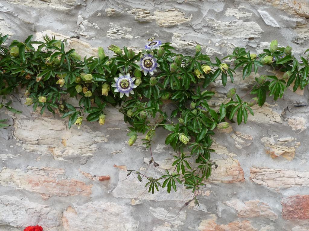 Posada El Pozo Castanedo  Luaran gambar